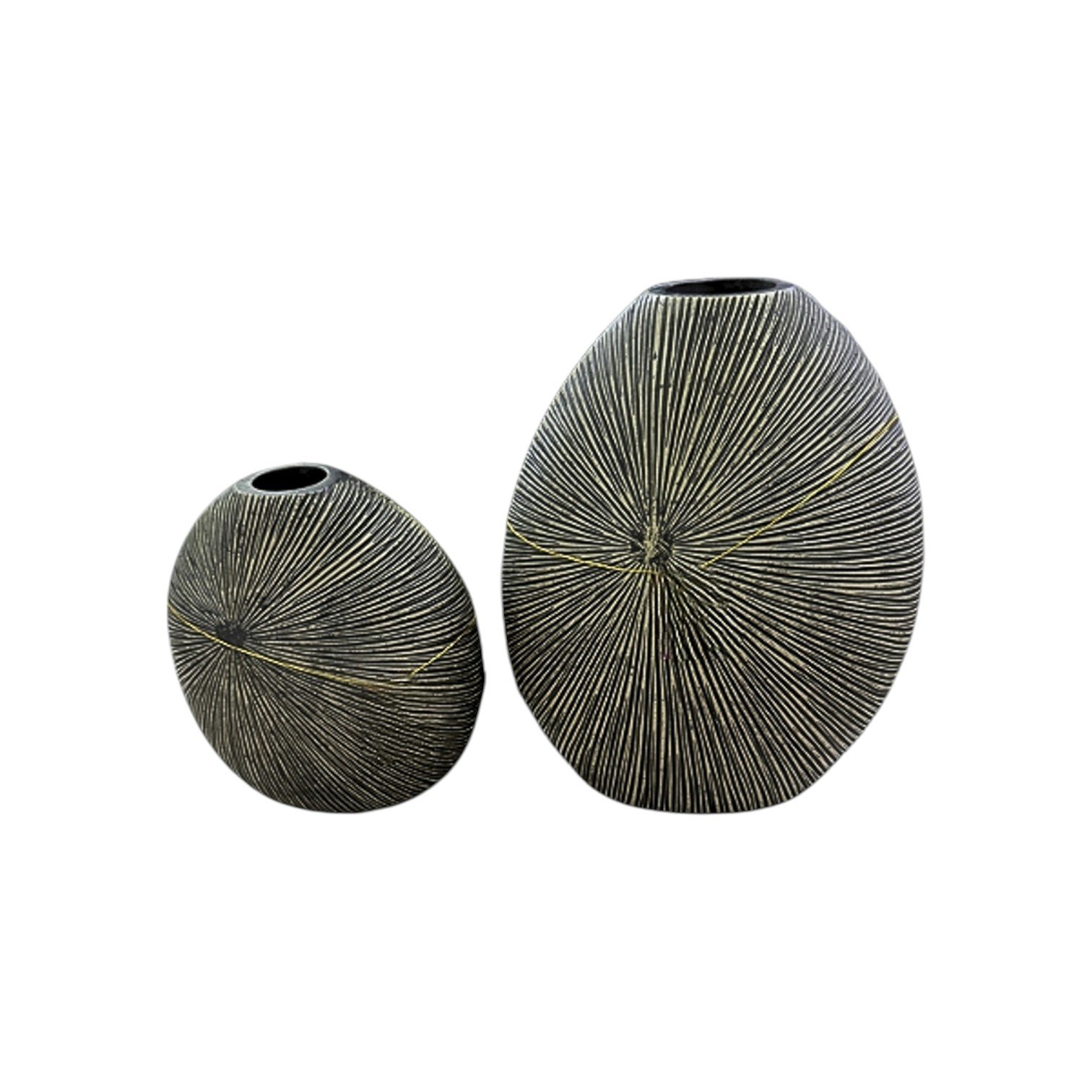 11201-Photoroom 11201-Photoroom