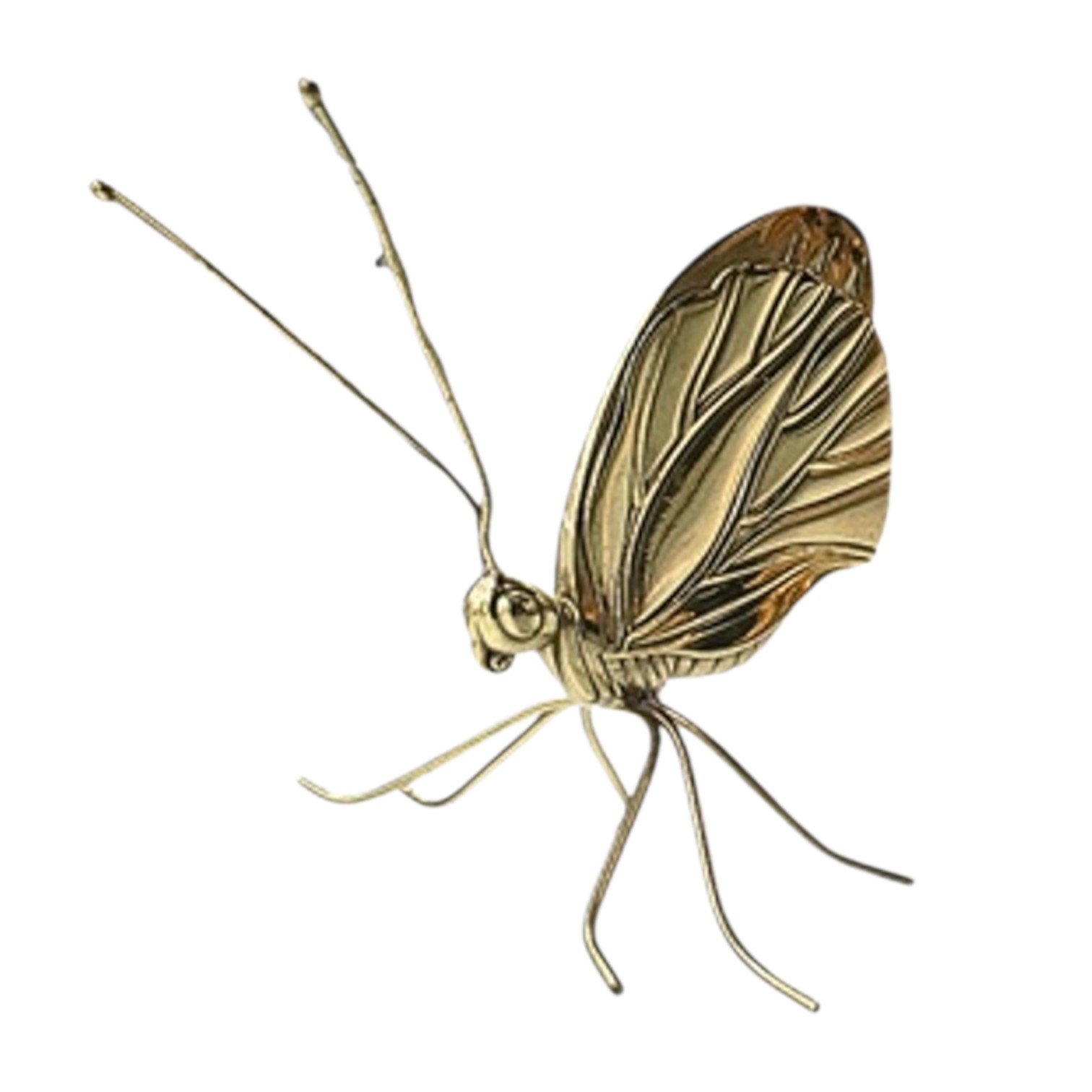 1418-Photoroom 1418-Photoroom