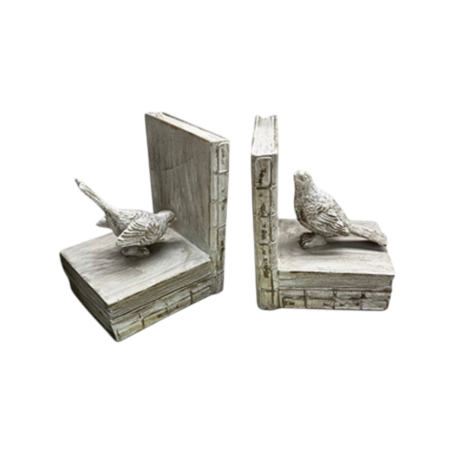 1462-Photoroom 1462-Photoroom