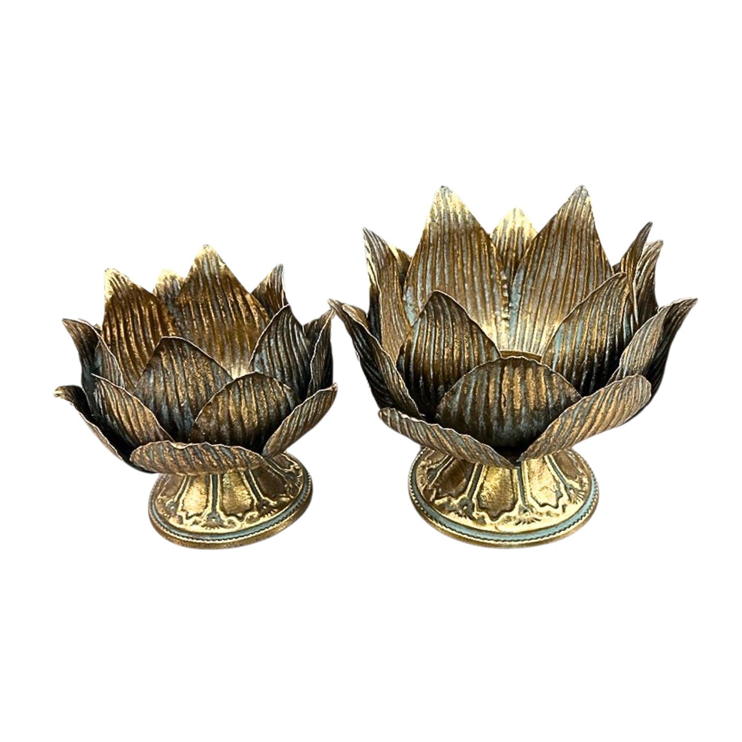 14961-Photoroom 14961-Photoroom