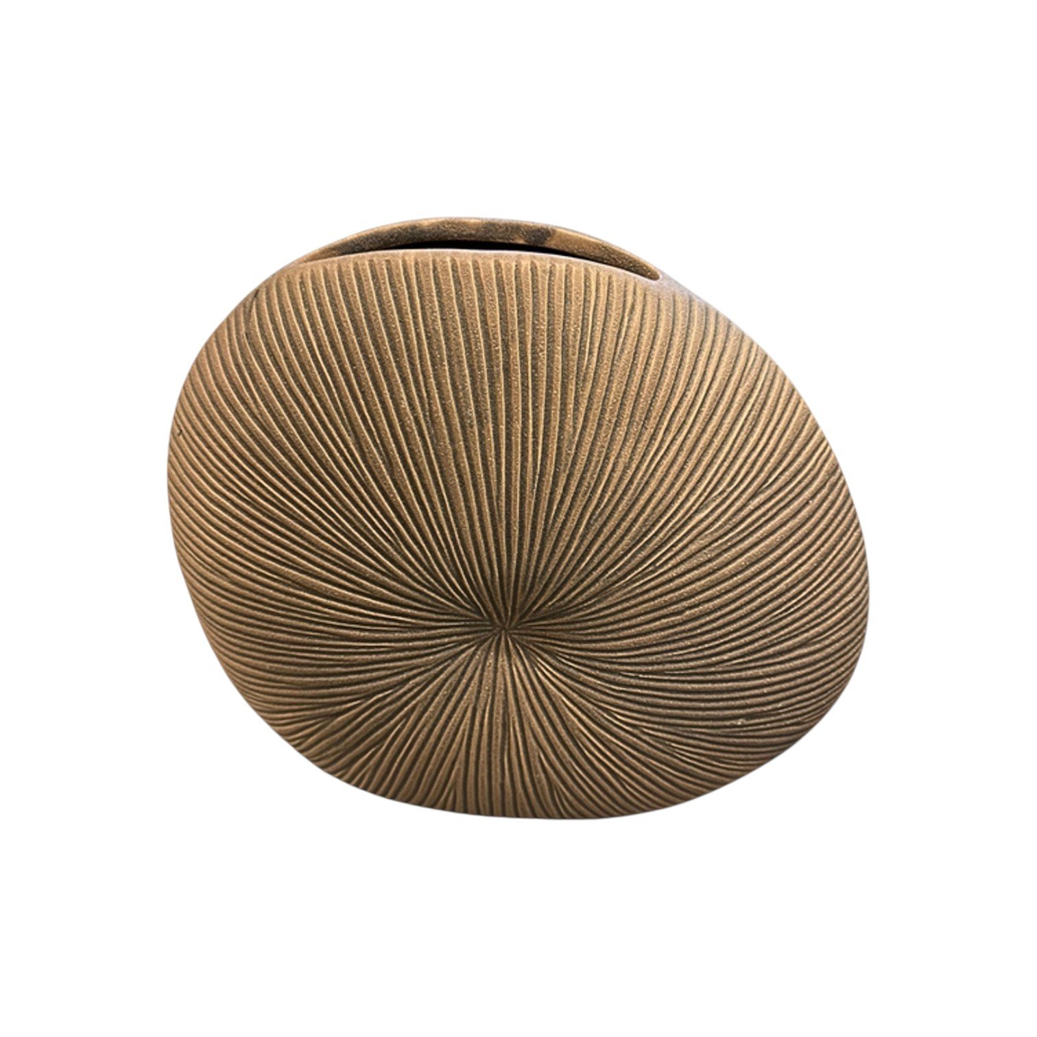 1584-Photoroom (1) 1584-Photoroom (1)