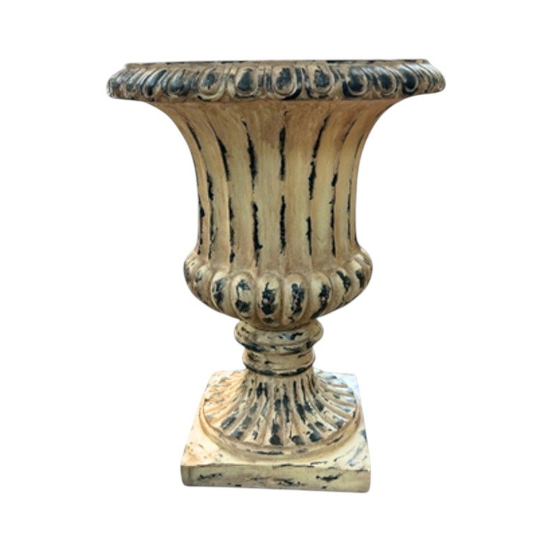 5797-Photoroom 5797-Photoroom